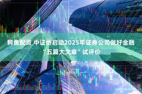 鳄鱼配资 中证协启动2025年证券公司做好金融“五篇大文章”试评价