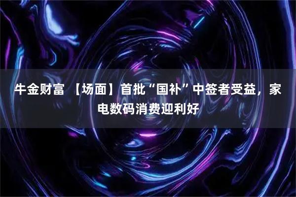 牛金财富 【场面】首批“国补”中签者受益，家电数码消费迎利好