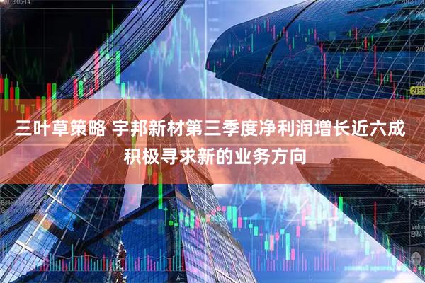 三叶草策略 宇邦新材第三季度净利润增长近六成 积极寻求新的业务方向